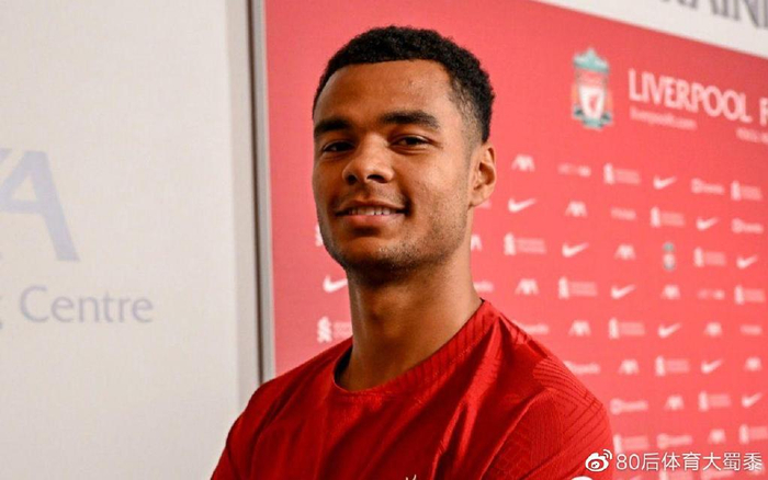 布鲁克林篮 布鲁克林篮