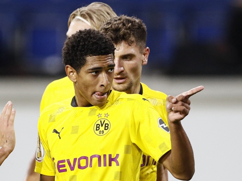 然后伺机发 然后伺机发