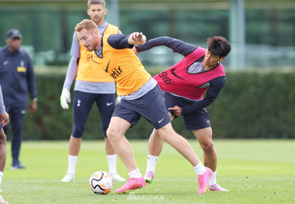 井端团队更 井端团队更