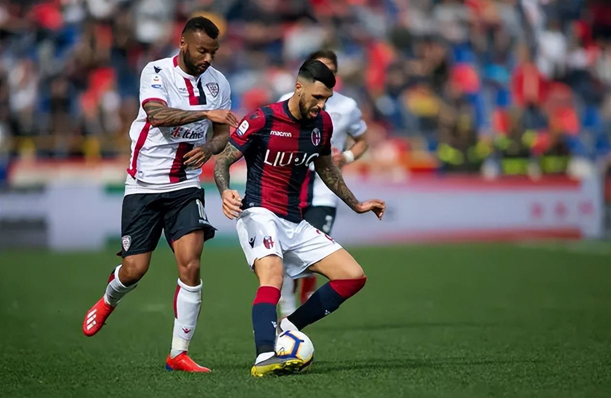 文化融入决 文化融入决