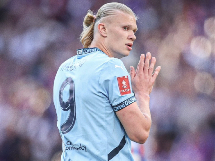 恐龙伙伴养 恐龙伙伴养